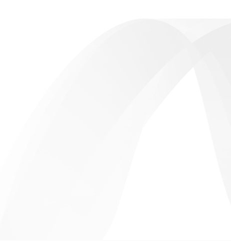 Custom Application Development with .NET Custom Application Development with .NET