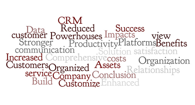 CRM: A Solution for Success