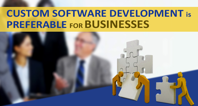 Custom Software Development for Business