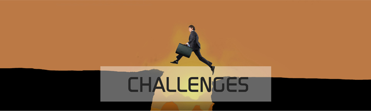 Challenges without SAP B1 Mobility Solution 
