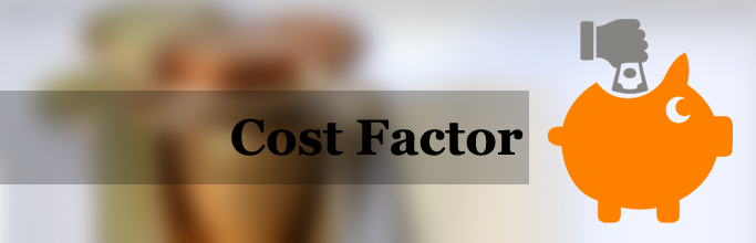 Cost Factor