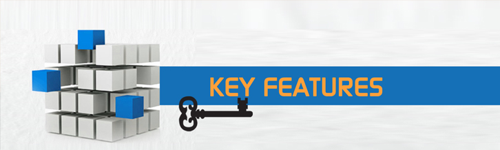 Key Features of SAP Business One Mobile Application