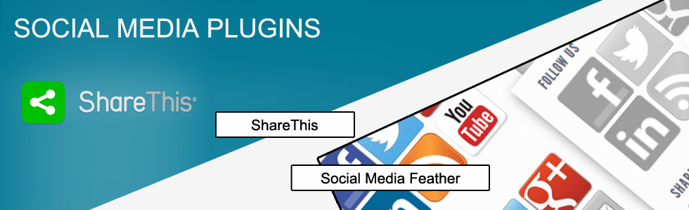 WordPress Social Media Plugins