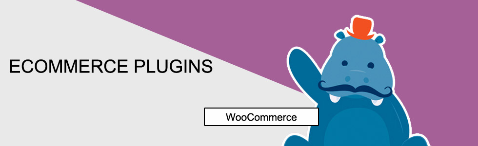WordPress eCommerce Plugins