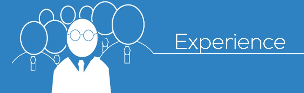 Magento Development Company experience