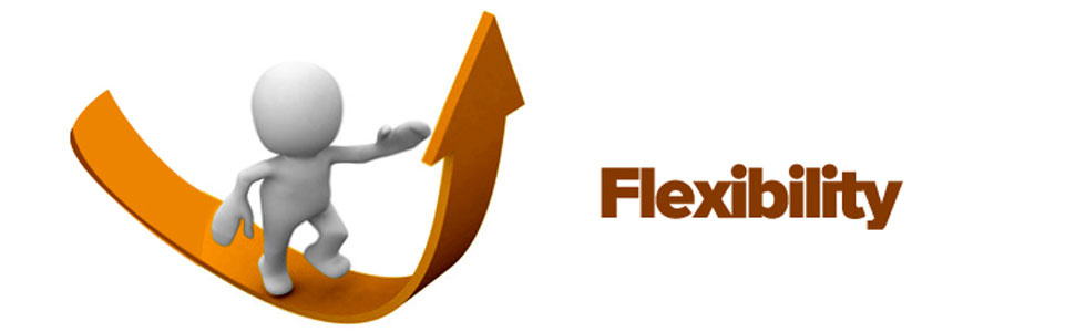 flexibility