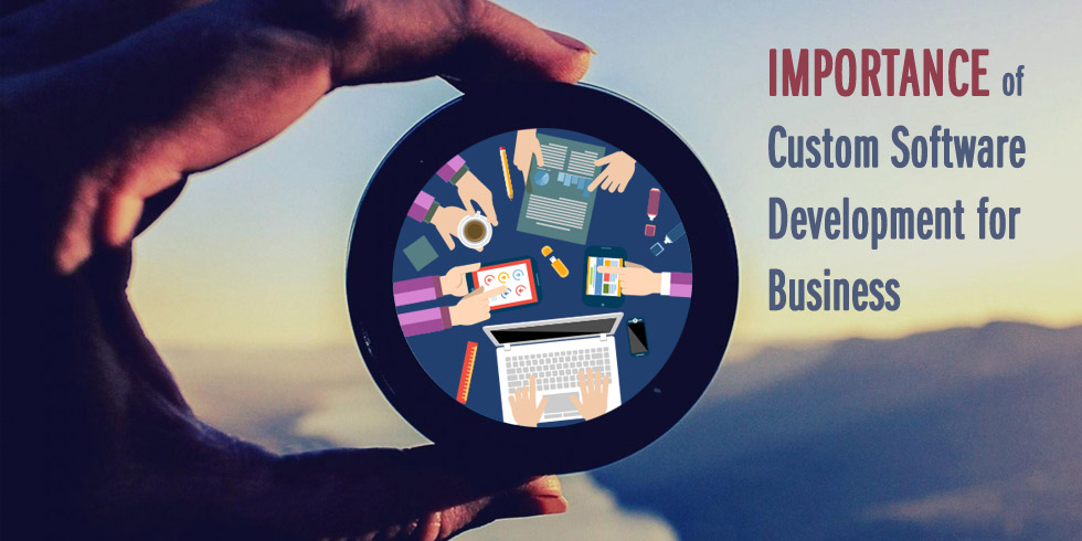 Custom Software Development from a Developer's Point of View