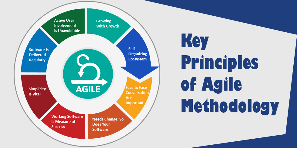 Basic Agile Principles