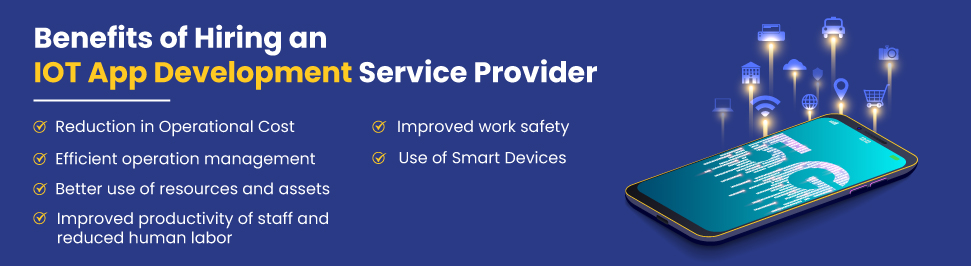 benefits of IOT App Development provider